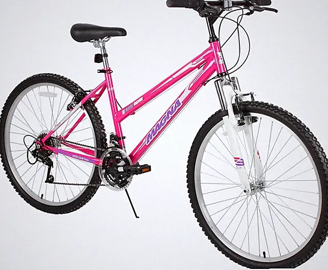 Magna Echo Ridge Mountain Bike – Rugged and Durable Design, Perfect for Teens an